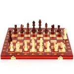 [Hemu Professional Level]  Magnetic Chess, Free Double Queen