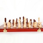 [Hemu Professional Level]  Magnetic Chess, Free Double Queen